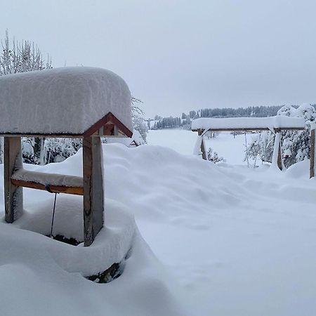 Trollenhof Im Allgaeu - Ferienwohnungen Saeuling Ruckholz Dış mekan fotoğraf