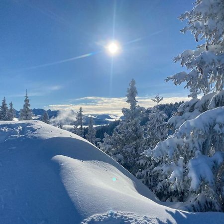Trollenhof Im Allgaeu - Ferienwohnungen Saeuling Ruckholz Dış mekan fotoğraf
