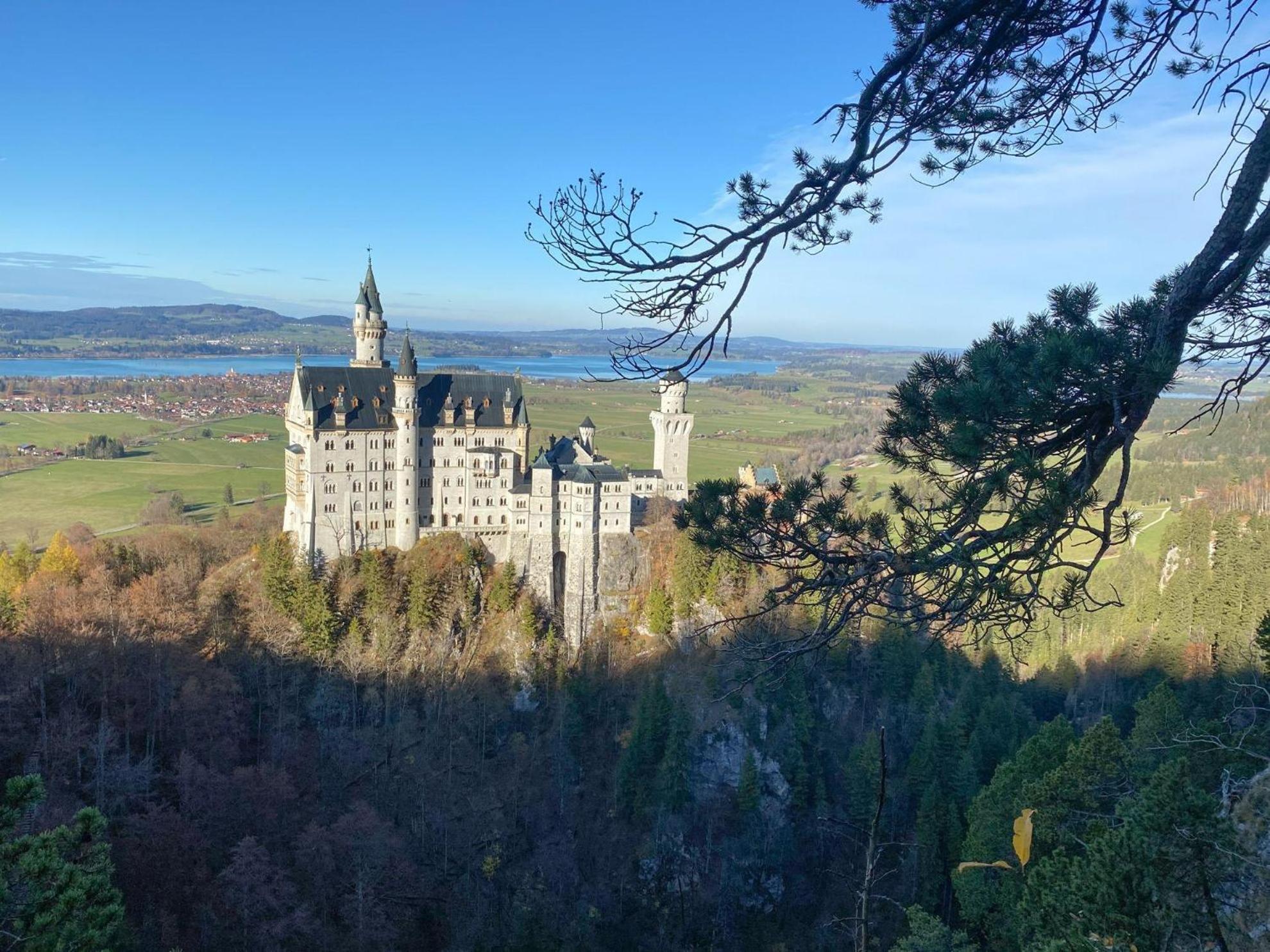 Trollenhof Im Allgaeu - Ferienwohnungen Saeuling Ruckholz Dış mekan fotoğraf