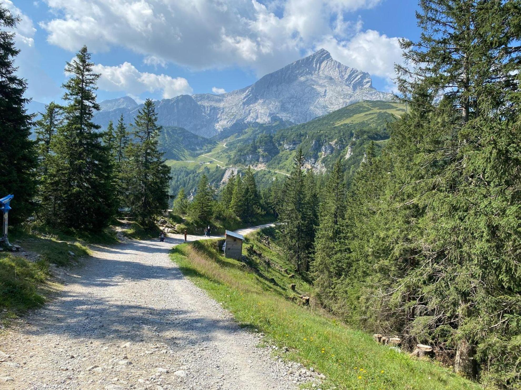 Trollenhof Im Allgaeu - Ferienwohnungen Saeuling Ruckholz Dış mekan fotoğraf