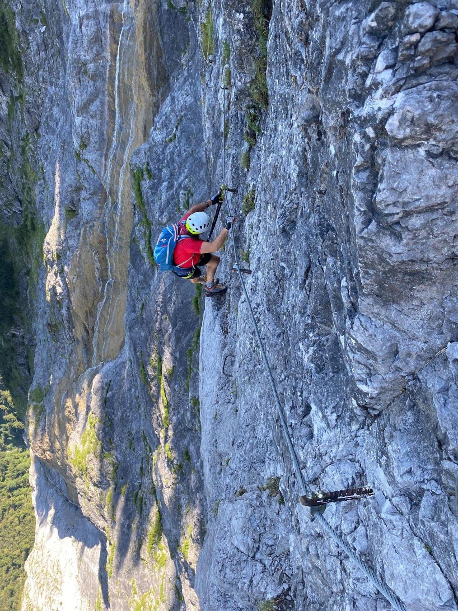 Trollenhof Im Allgaeu - Ferienwohnungen Saeuling Ruckholz Dış mekan fotoğraf