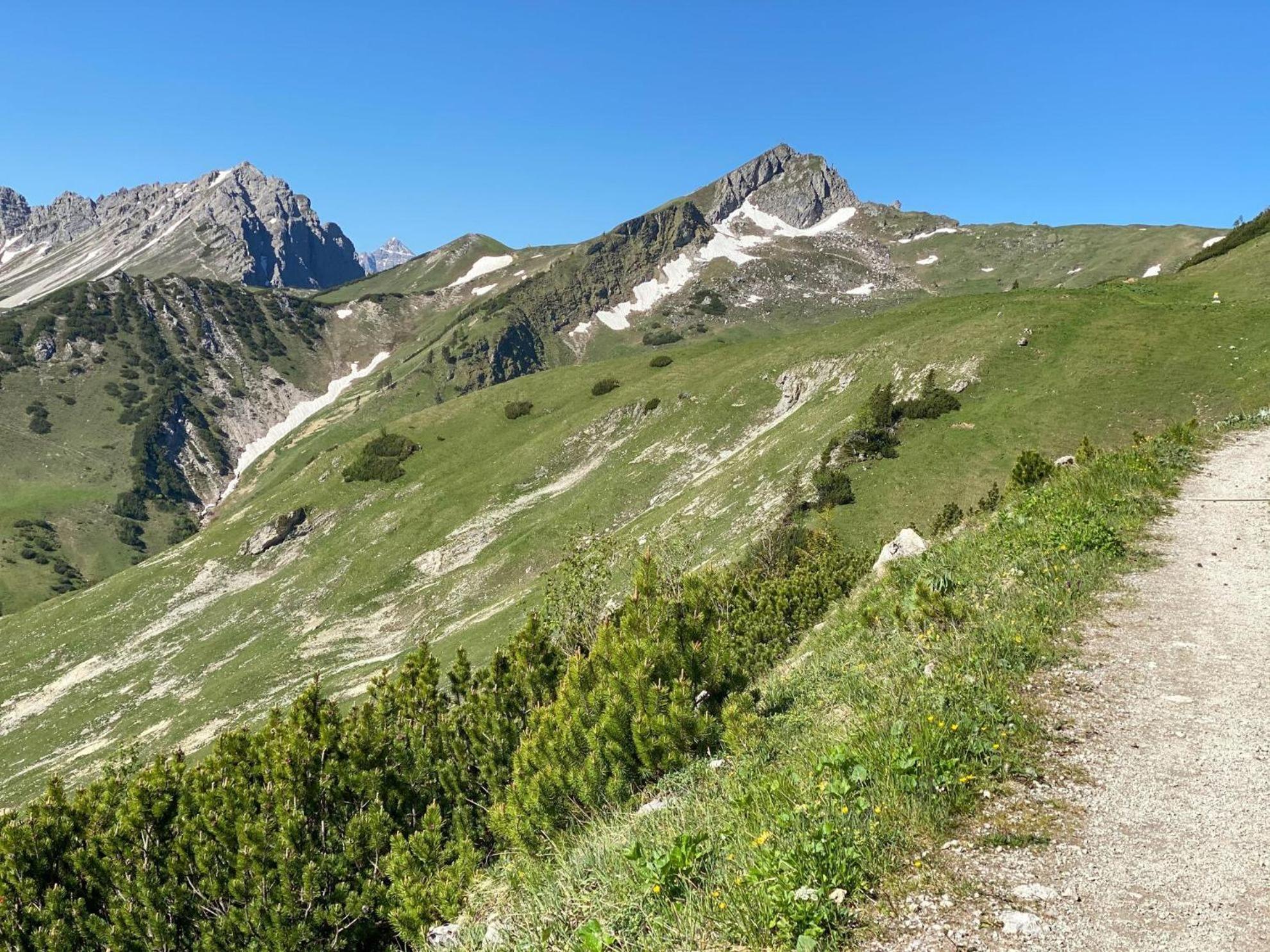 Trollenhof Im Allgaeu - Ferienwohnungen Saeuling Ruckholz Dış mekan fotoğraf