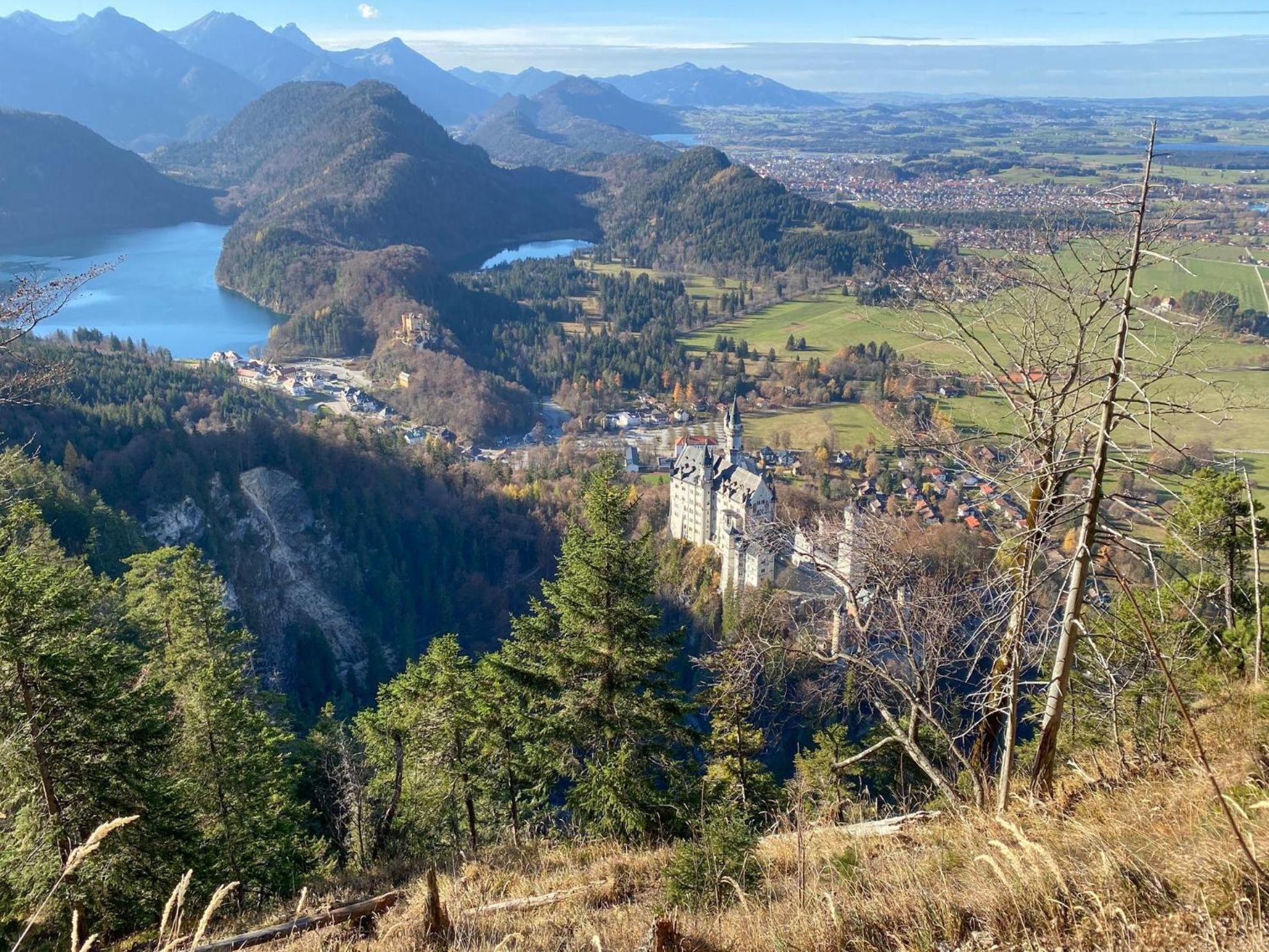 Trollenhof Im Allgaeu - Ferienwohnungen Saeuling Ruckholz Dış mekan fotoğraf